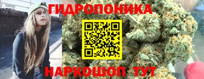 прущие крисы Гагарин