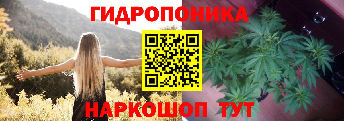 APVP Полысаево